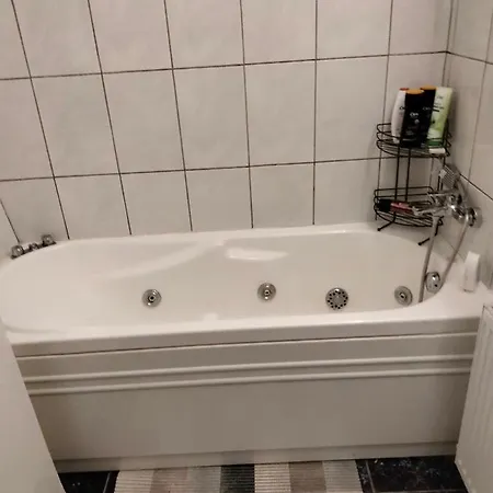 Апартаменты Apartament Cu Terasa La Casa Valentin