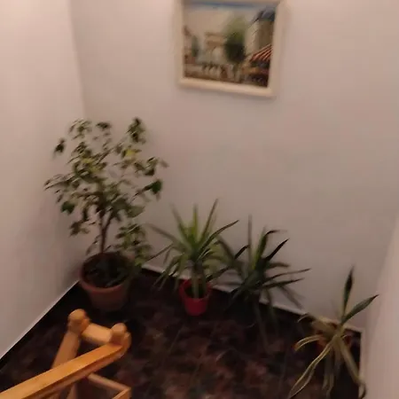 Apartament Cu Terasa La Casa Valentin