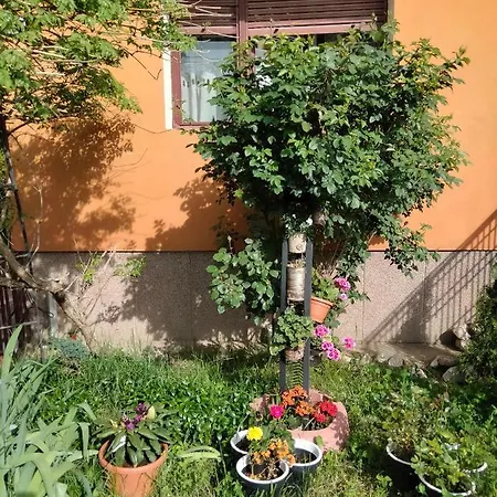 Cu Terasa La Casa Tina Apartment *
