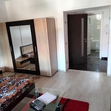 Apartament Cu Terasa La Casa Valentin