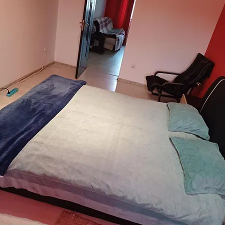 Apartament Cu Terasa La Casa Valentin Тимишоара