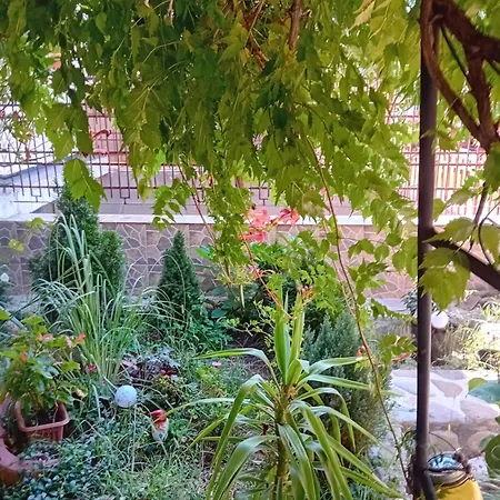 Apartament Cu Terasa La Casa Valentin Апартаменты Тимишоара