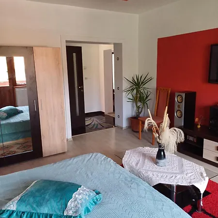 Apartament Cu Terasa La Casa Valentin Апартаменты *