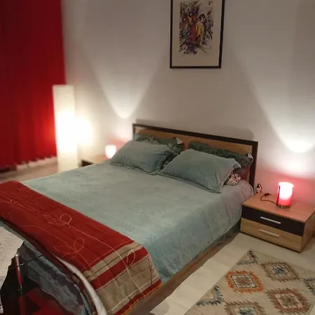 Apartament Cu Terasa La Casa Valentin Тимишоара