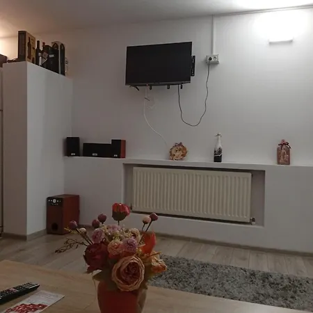 Апартаменты Apartament Cu Terasa La Casa Valentin *