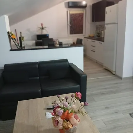 Apartament Cu Terasa La Casa Valentin Апартаменты