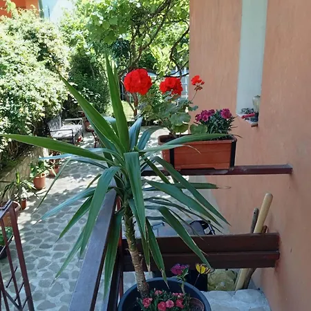 Cu Terasa La Casa Valentin Apartment *