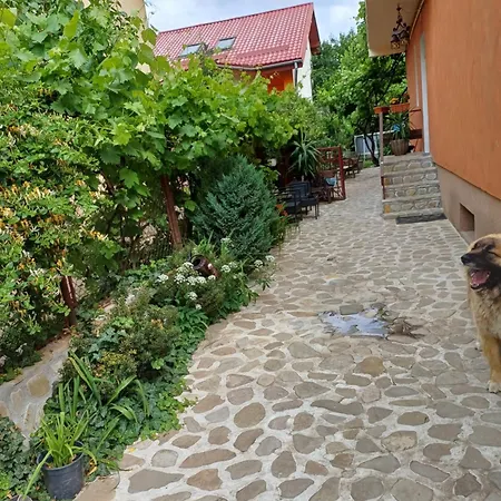 Cu 2 Dormitoare Si Terasa Valentin, Iulius Mall Temešvár