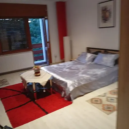 Cu 2 Dormitoare Si Terasa Valentin, Iulius Mall Apartment
