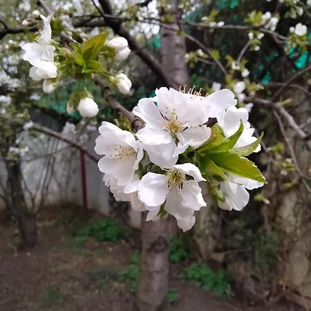 Cu 2 Dormitoare Si Terasa Valentin, Iulius Mall Apartament Timișoara