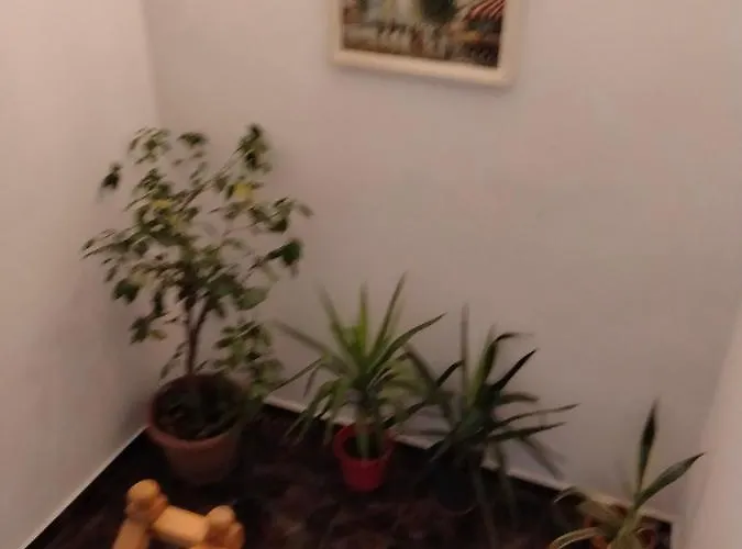 Cu 2 Dormitoare Si Terasa Valentin, Iulius Mall