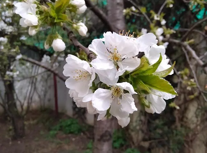 Cu 2 Dormitoare Si Terasa Valentin, Iulius Mall Апартаменти Тімішоара